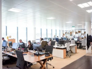 Open-plan office with people working at desks, using computers. Large windows bring in natural light. Modern furniture and shelves visible in the background.